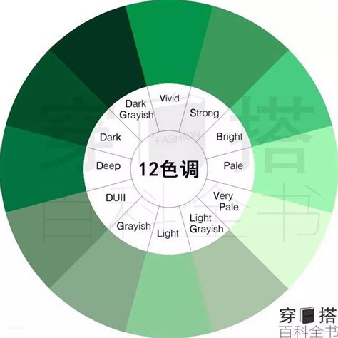 綠色色階|色碼表＆顏色調色盤